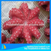 Flower Octopus IQF